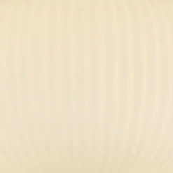 Hot Searchlight Deckenlampe rund Ø 24 cm Schwarz Weiß Glas Metall E27