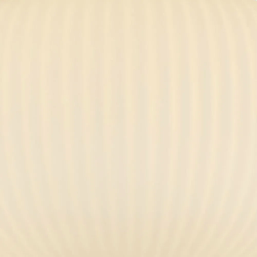 Hot Searchlight Deckenlampe rund Ø 24 cm Schwarz Weiß Glas Metall E27