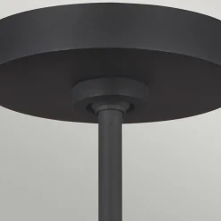 Elstead Deckenlampe Schwarz Gold verstellbar Modern ZENU