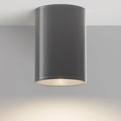 Maytoni Deckenleuchte LED Metall D: 10,8 cm Aufputz IP65 rund