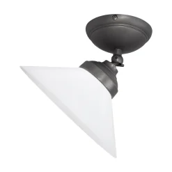 Giovanni Battista Deckenspot schwenkbar Ø 24,5 cm Glas Messing E27* Spots|Badezimmer Lampe