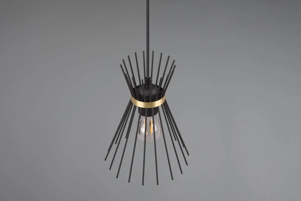Hot Trio Reality Dekorative Pendelleuchte Schwarz Gold E27 Ø20 cm rund