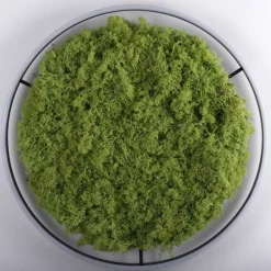 Just Light Dimmbare LED Deckenlampe Moos Schwarz 3000 K 28 W* Wohnzimmerlampen|Schlafzimmer Lampen