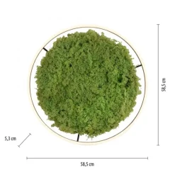 Just Light Dimmbare LED Deckenlampe Moos Schwarz 3000 K 28 W* Wohnzimmerlampen|Schlafzimmer Lampen