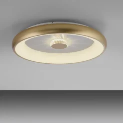 Just Light Dimmbare LED Deckenleuchte 2700-5000 K Ø61,5 cm Messing* Flurlampen|Bürolampen