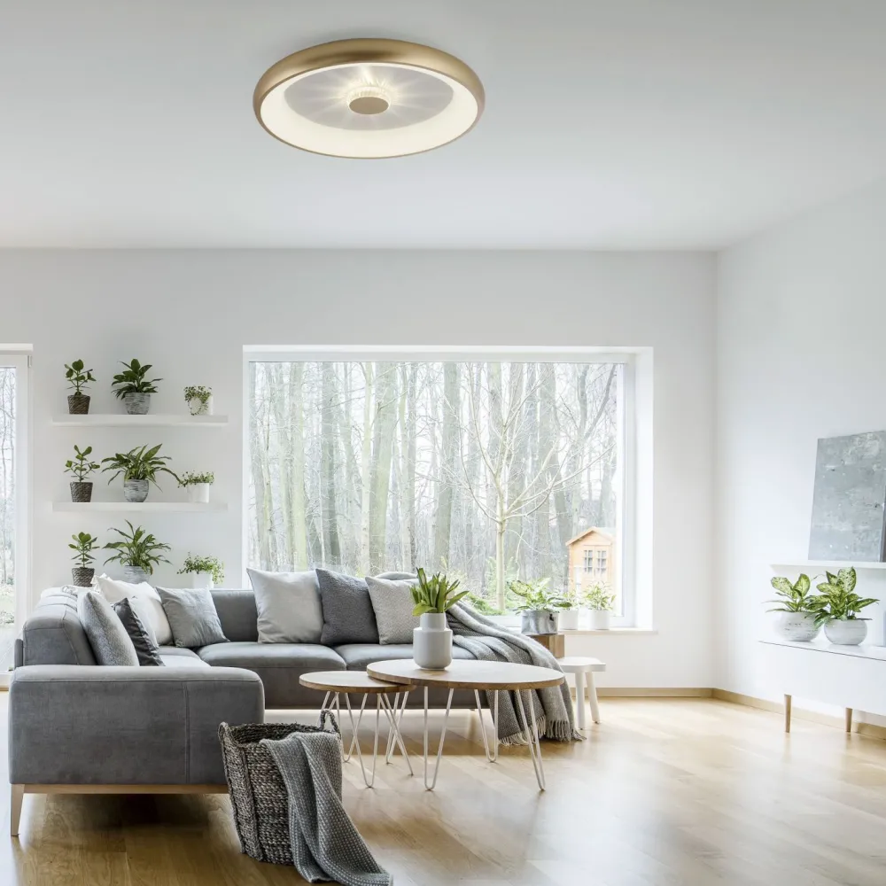 Just Light Dimmbare LED Deckenleuchte 2700-5000 K Ø61,5 cm Messing* Flurlampen|Bürolampen