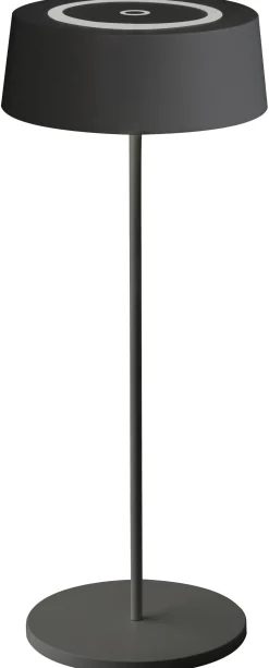 Online Eco-Light LED Akku Tischlampe Schwarz Touch Dimmer USB IP54 2 W