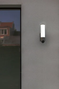 Eco-Light LED Außenlampe Bewegungsmelder Edelstahl IP44 dimmbar* Led Außenleuchten|Moderne Außenleuchten