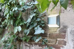 New Eco-Light LED Außenleuchte Edelstahl IP54 H:12,4 cm 7 W Up Down