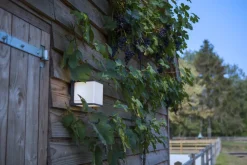 New Eco-Light LED Außenwandlampe Anthrazit Aluminium IP54 4000 K 19 W