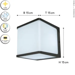 New Eco-Light LED Außenwandlampe Anthrazit Aluminium IP54 4000 K 19 W