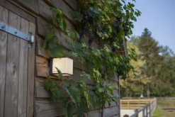 Eco-Light LED Außenwandlampe Anthrazit Aluminium IP54 3000 K 19 W* Metall Lampen|Led Außenleuchten