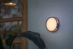 Eco-Light LED Außenwandlampe Anthrazit Ø18,3 cm rund IP54 3000 K* Metall Lampen|Led Außenleuchten