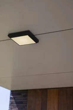 Eco-Light LED Außenwandleuchte Aluminium 4000 K IP54 blendarm* Metall Lampen|Led Außenleuchten