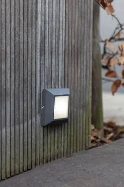 Eco-Light LED Außenwandleuchte Aluminium IP54 4000 K Anthrazit