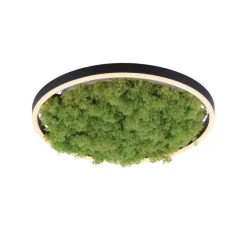 Just Light LED Deckenlampe Moos Schwarz 3000 K 2650 lm dimmbar