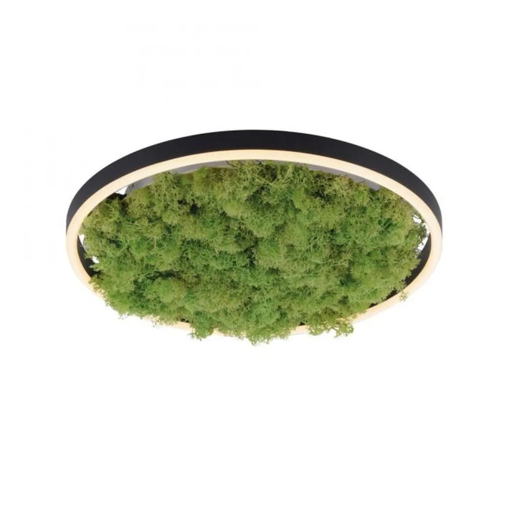 Just Light LED Deckenlampe Moos Schwarz 3000 K 2650 lm dimmbar