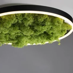 Just Light LED Deckenlampe Moos Schwarz 3000 K 2650 lm dimmbar