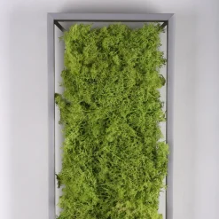 Clearance Just Light LED Deckenleuchte Moos L:100 cm 3000 K 3550 lm aus Moos