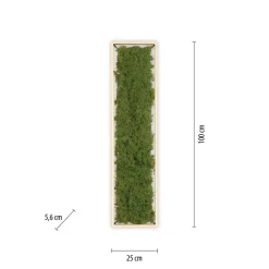 Clearance Just Light LED Deckenleuchte Moos L:100 cm 3000 K 3550 lm aus Moos