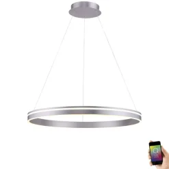 Sale Paul Neuhaus LED Hängelampe Ring in Stahl Ø79 cm 7000 lm dimmbar