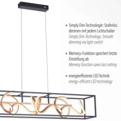 Sale Paul Neuhaus LED Hängelampe Schwarz Gold Metall L:110 cm dimmbar