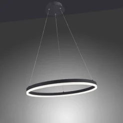 Discount Paul Neuhaus LED Pendelleuchte Anthrazit dimmbar 3000 K Ø60 cm Ring