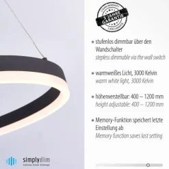 Discount Paul Neuhaus LED Pendelleuchte Anthrazit dimmbar 3000 K Ø60 cm Ring
