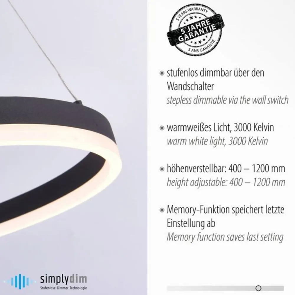 Discount Paul Neuhaus LED Pendelleuchte Anthrazit dimmbar 3000 K Ø60 cm Ring