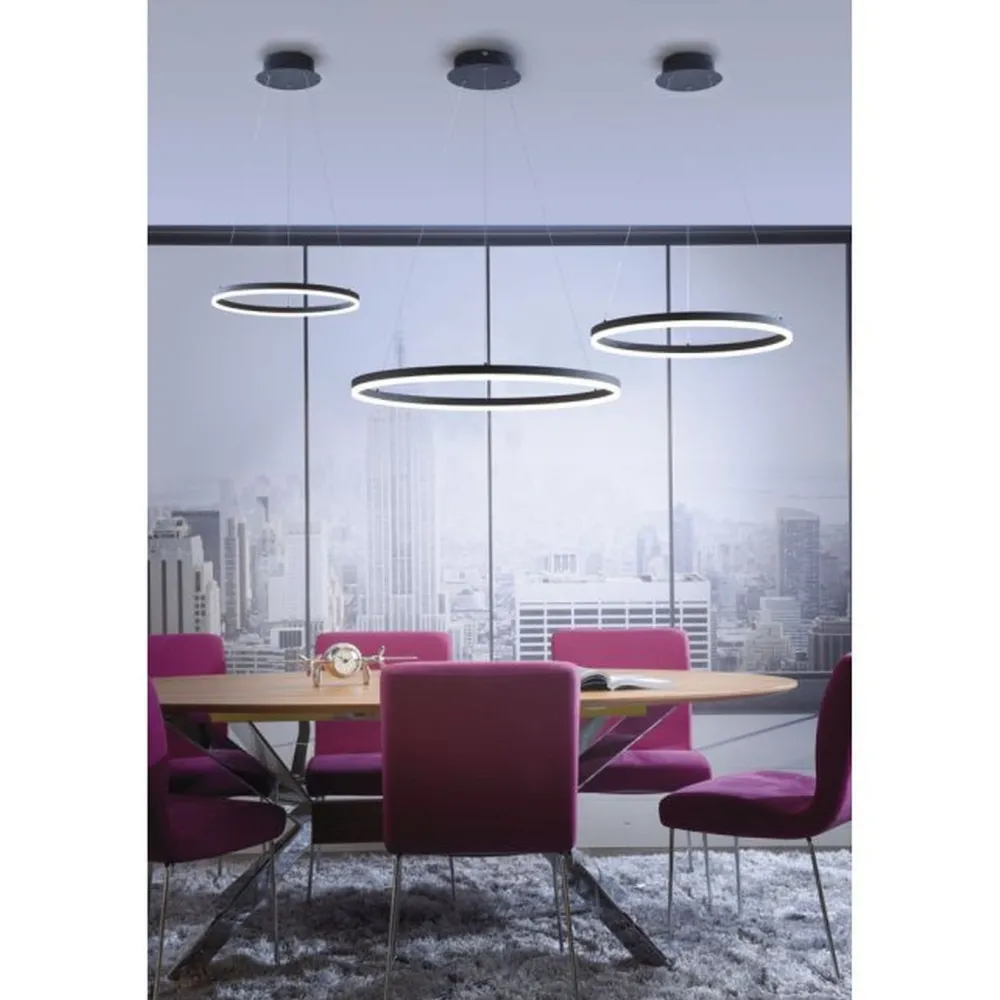 Discount Paul Neuhaus LED Pendelleuchte Anthrazit dimmbar 3000 K Ø60 cm Ring