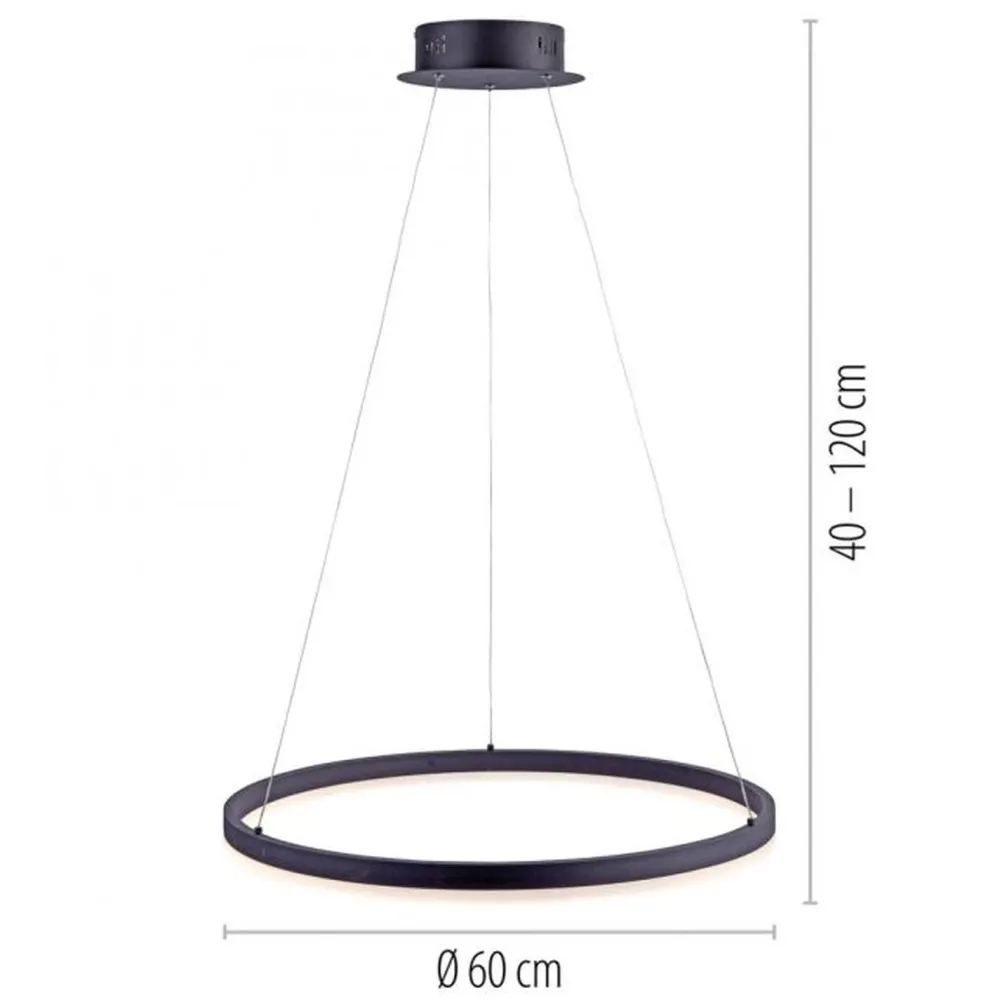 Discount Paul Neuhaus LED Pendelleuchte Anthrazit dimmbar 3000 K Ø60 cm Ring