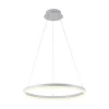 Paul Neuhaus LED Pendelleuchte Weiß dimmbar 38 W 3000 K Ø60 cm Ring* Hängelampen|Bürolampen