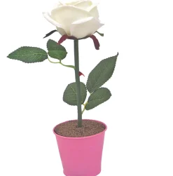 Easylight LED Rose weiß/pink* Led Lampen|Moderne Lampen