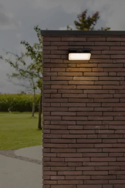 Eco-Light LED Solar Außenwandlampe mit Bewegungsmelder IP54 9 W* Solarleuchten|Led Außenleuchten