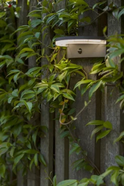 Hot Eco-Light LED Solar Wandlampe Bewegungsmelder IP44 B:19 cm 4000 K