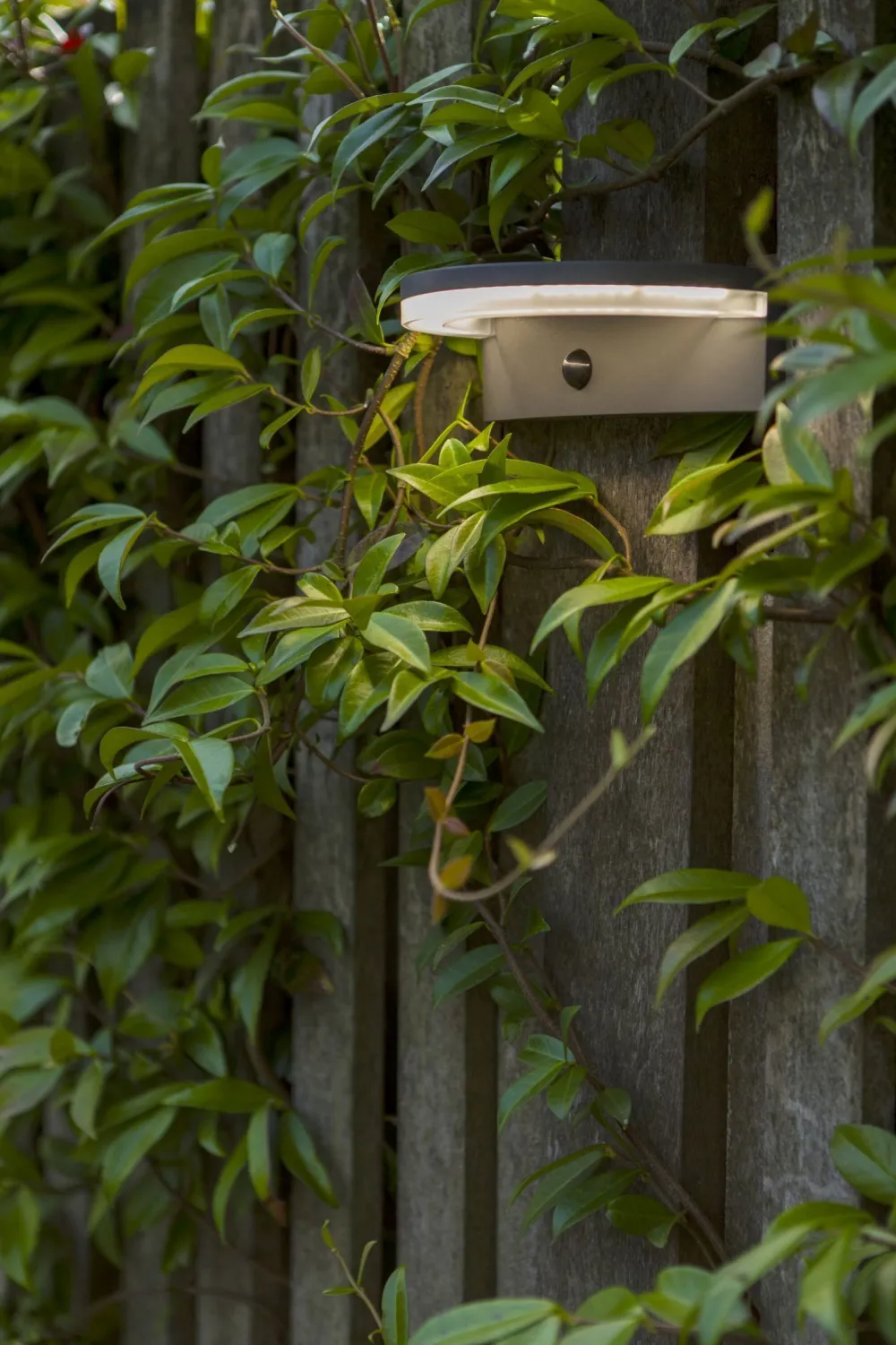 Hot Eco-Light LED Solar Wandlampe Bewegungsmelder IP44 B:19 cm 4000 K