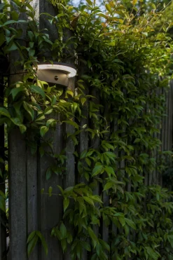 Hot Eco-Light LED Solar Wandlampe Bewegungsmelder IP44 B:19 cm 4000 K