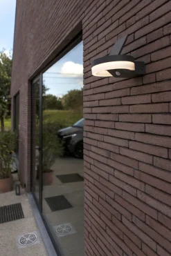 Clearance Eco-Light LED Solar Wandlampe Sensor Anthrazit IP54 12 W 4000 K