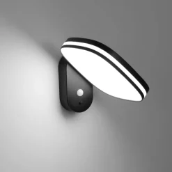 Sale Eco-Light LED Solar Wandspot mit Bewegungsmelder 6 W verstellbar