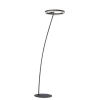 Sale Paul Neuhaus LED Stehlampe Anthrazit dimmbar warmweiß 20 W 215 cm