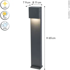 Hot Eco-Light LED Stehlampe außen Aluminium IP54 10 W 65 cm Anthrazit