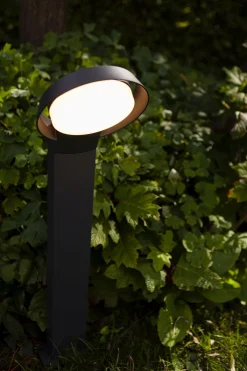 Clearance Eco-Light LED Stehlampe Außen Anthrazit IP54 15 W 1100 lm 65 cm