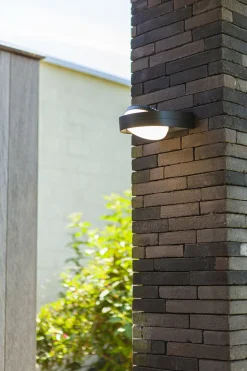 Discount Eco-Light LED Wandlampe Anthrazit Aluminium IP54 B:16 cm blendarm