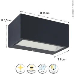 Eco-Light LED Wandlampe Außen Anthrazit 4000 K 10 W IP54 Up Down* Metall Lampen|Led Außenleuchten