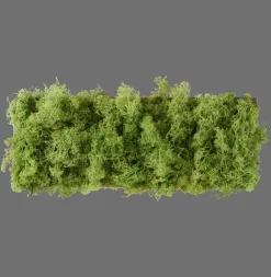 Just Light LED Wandlampe Up Down B:32 cm 3000 K 130 lm aus Moos* Flurlampen|Schlafzimmer Lampen