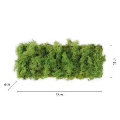 Just Light LED Wandlampe Up Down B:32 cm 3000 K 130 lm aus Moos* Flurlampen|Schlafzimmer Lampen