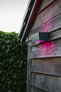 Hot Eco-Light LED Wandlampe Up Down dimmbar RGB B:22 cm IP54 900 lm