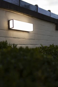 New Eco-Light LED Wandleuchte Anthrazit Aluminium IP54 4000 K B:35 cm