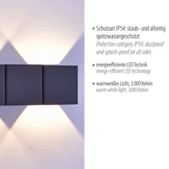 Best Paul Neuhaus LED Wandleuchte außen Aluminium IP54 22,5 cm Anthrazit