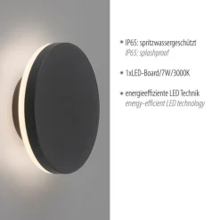 Paul Neuhaus LED Wandleuchte außen Metall IP65 3000 K indirekt* Metall Lampen|Feuchtraumleuchten